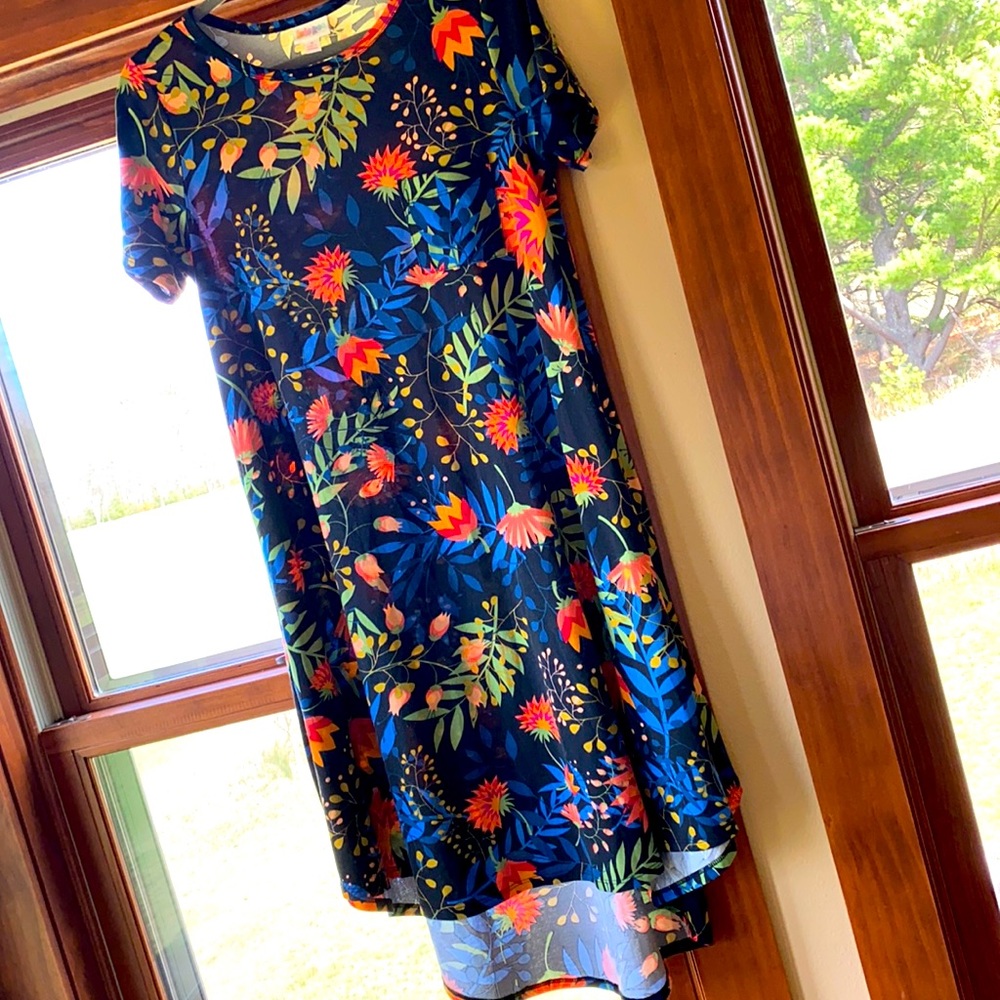 LuLaRoe Carly Dress
